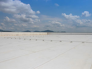 Commercial Roof Inspection