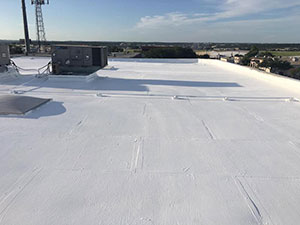 Commercial Roof Inspection1