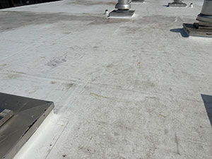 Flat Roof2