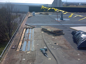 Flat Roof2