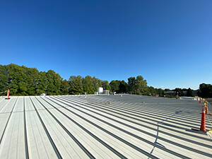 Metal Roof Maintenance Strafford, MO 2